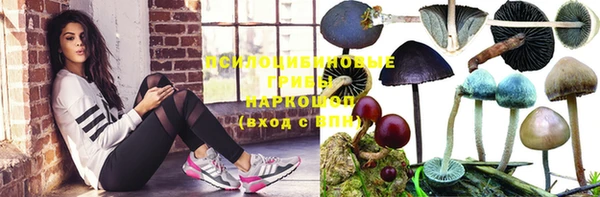 прущие крисы Баксан