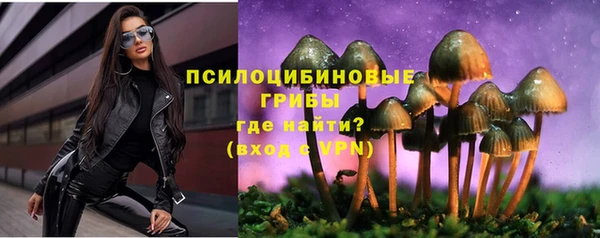 прущие крисы Баксан